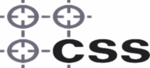 CSS-IP